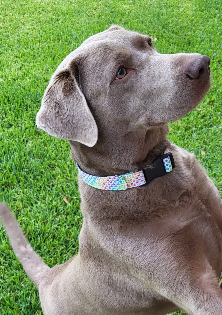 Basketballs Collar
