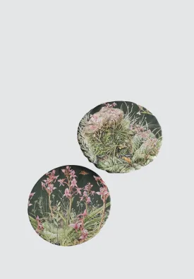 Dish Covers