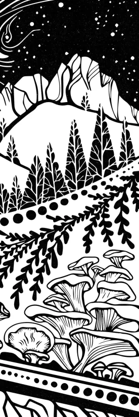 Forest Fern Fungi by Nicole Labonte