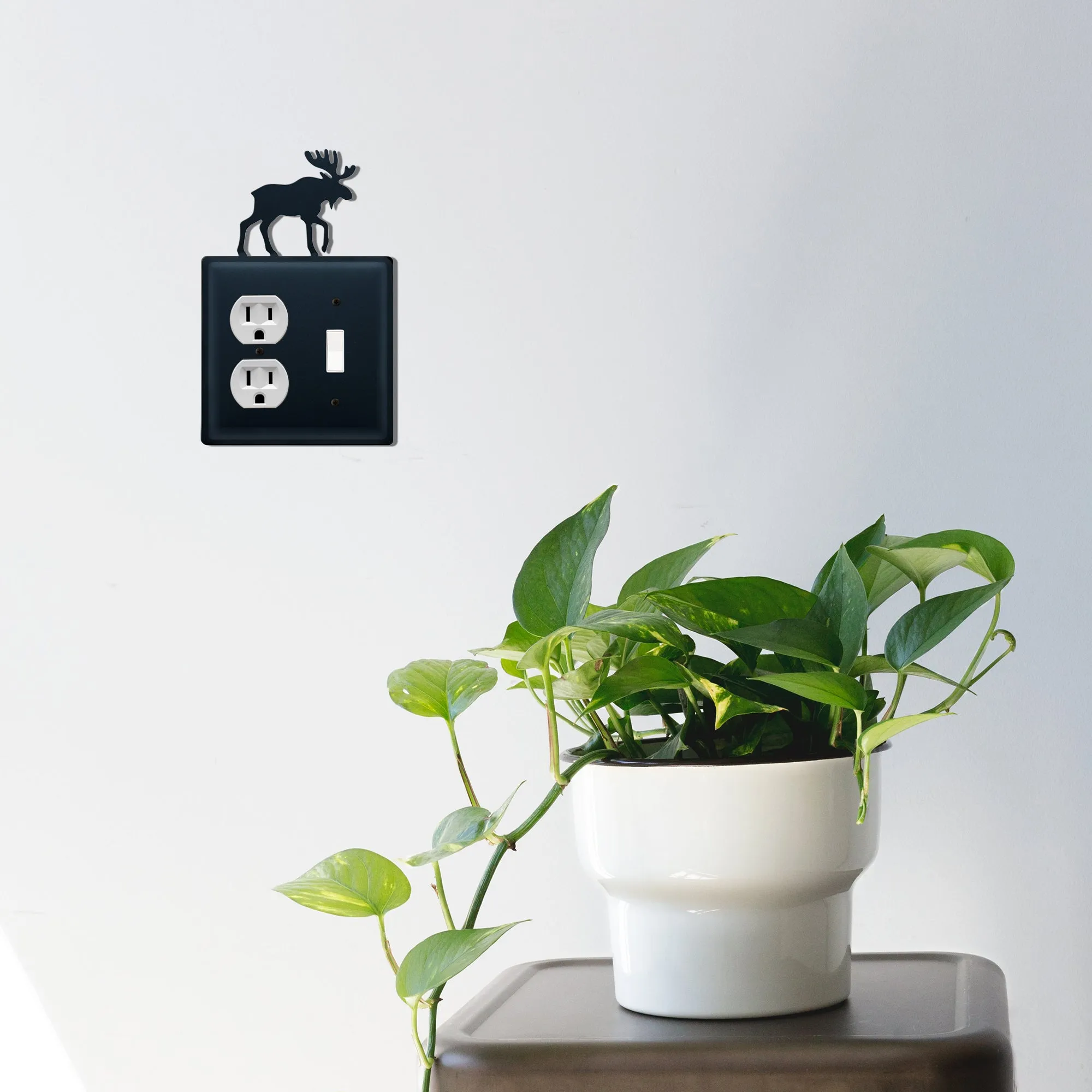 Moose Single Outlet and Switch Cover