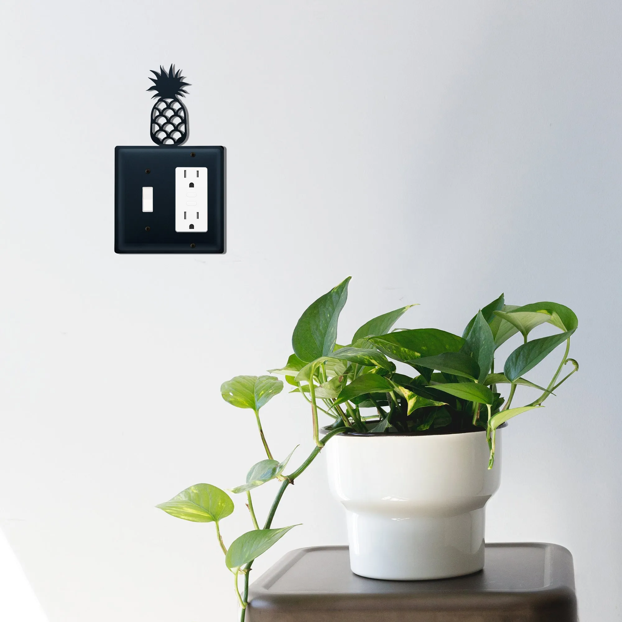 Pineapple Single Switch & GFI CUSTOM Product, Allow 4 to 6 Weeks