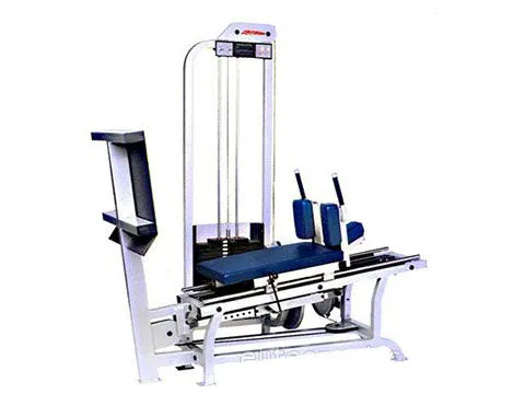 Refurbished Life Fitness Pro Horizontal Leg Press