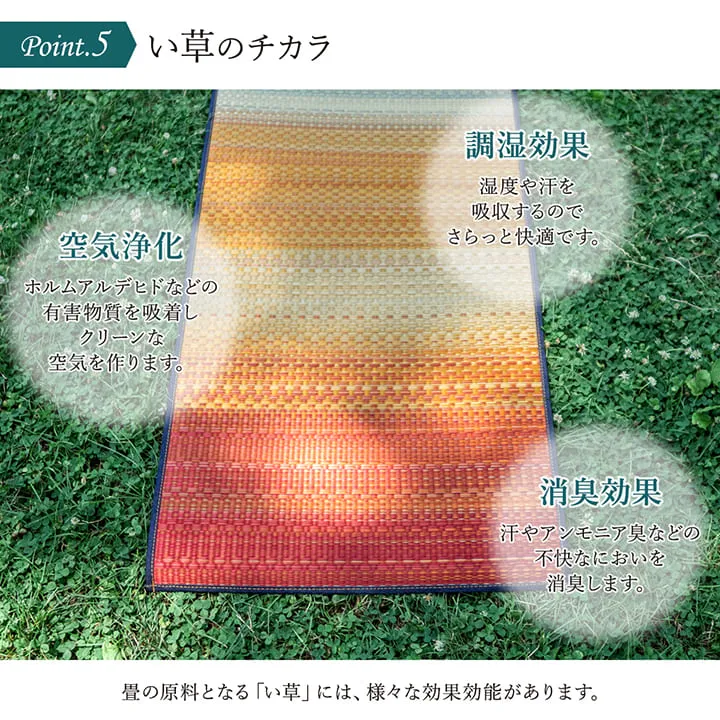 TATAMI YOGA MAT  60×180cm